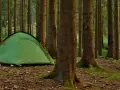 Zielony namiot i rowery czekają na nocleg. Idealne miejsce na biwakowanie na dziko wśród drzew.