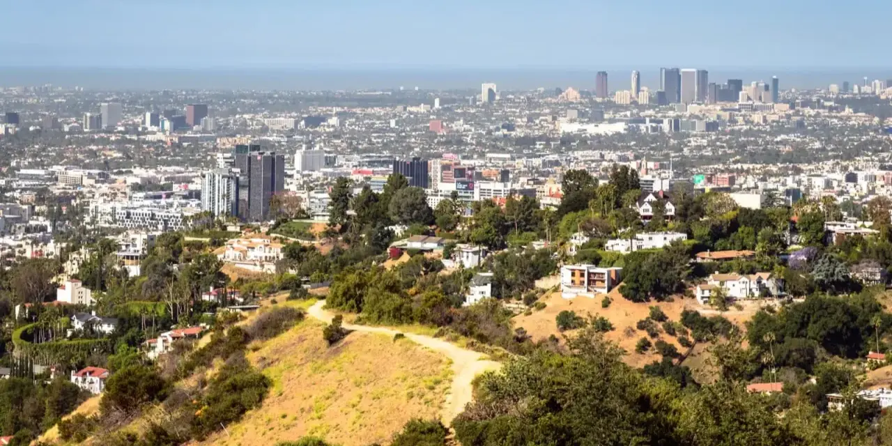 Widok na Los Angeles, miasto śmierci, z wzgórz porośniętych suchą trawą i drzewami. W oddali widać drapacze chmur.